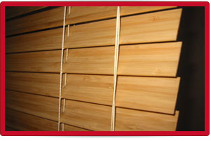 Plants: image 1 0f 4 thumb